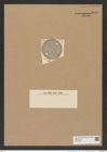 Eupodiscus oculatus Grev. (de-Toni-Nr.: Genus 177, Species 4473) Zeichnungen Sammlung Grunow Nr. 8040 (NHMW-BOT-W0377349)